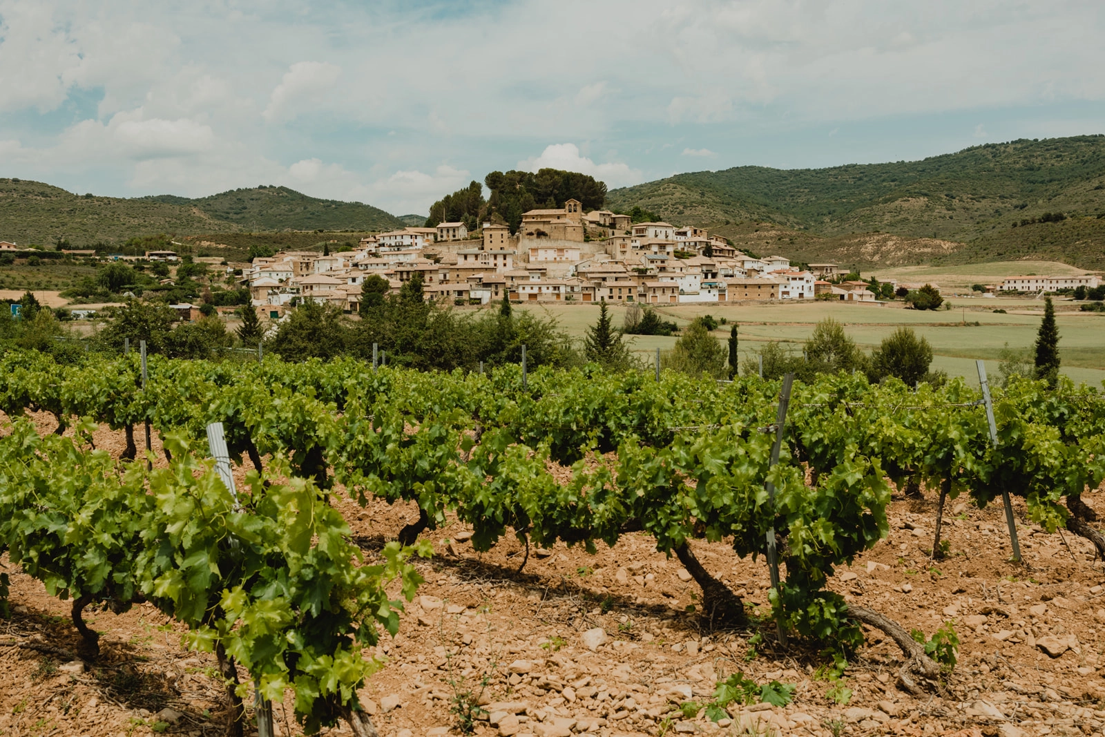 Terruño Bodega Eslava