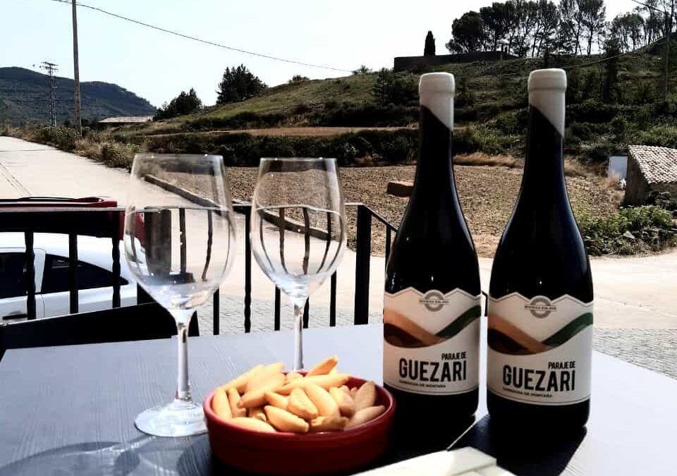 Vino y comida: el arte del maridaje