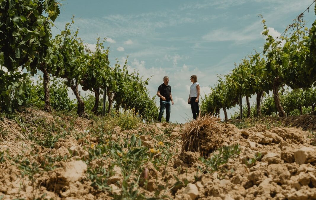 Eslava lidera un modelo de vino regenerativo