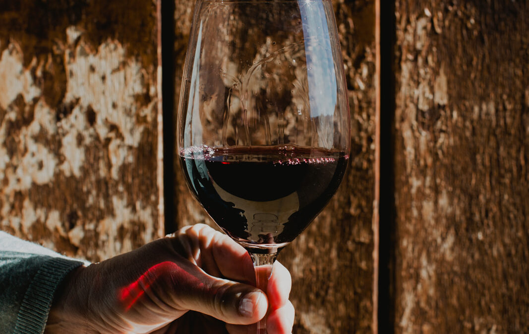 5 razones para visitar Bodega Eslava en otoño