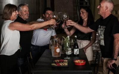 Una experiencia de vino cerca de Pamplona: descubre Bodega Eslava y Santa Criz